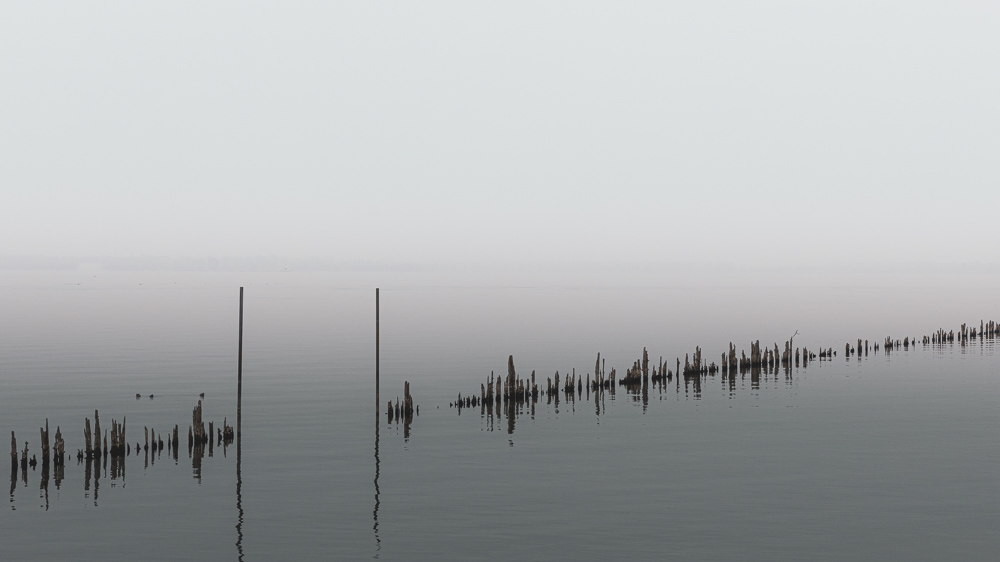 Platz 8 Anton Kienle